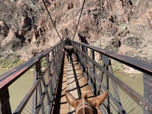Grand Canyon - Black Bridge