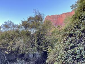 Grand Canyon - Indian Garden