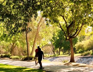 Brea Arovista Park