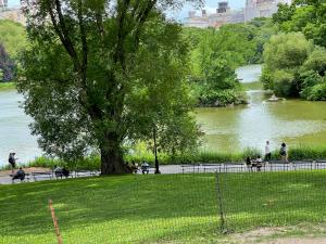 A walking path in Central Park