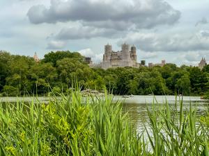 The beautiful lake in Central Park