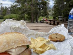 Picnic by Sprague Lake