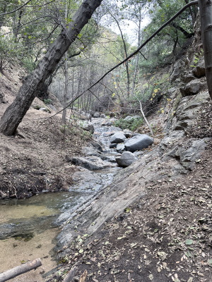 Millard Falls in Altadena