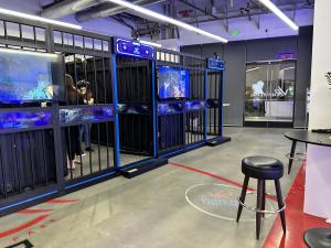VR Universe, Buena Park - cages