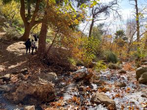 Escondido Falls - pool and stream
