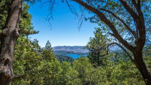 Hikers enjoying the Will Abell Memorial Trail in Lake Arrowhead, by Andrew Snyder