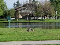 Ralph B. Clark Park