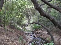 Placeholder image for Oak Canyon Creek
