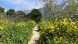 A view of the 40-foot Eaton Canyon Waterfall