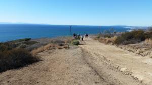 A scenic view of a dirt path on Crystal Cove hiking trails