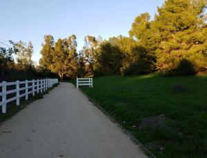 Bud Turner Trail