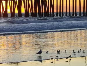 Orange County - Huntington Beach at Sunset