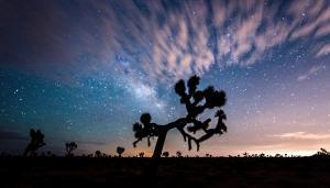Joshua Tree National Park - Sunset and Stars
