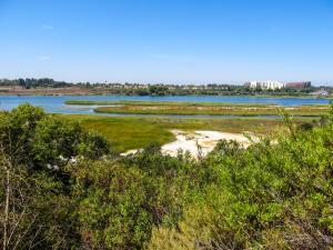 Newport Beach - Upper Bay Trail - Flickr - By Ken Lund