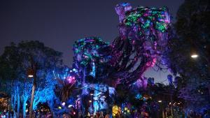 Disney World - Nighttime landscape at Pandora - Wikipedia by Jedi94