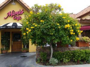 Disney main gate - Mimi's Cafe - Harbor Blvd