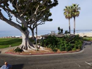 View from C'est La Vie Laguna Beach porch