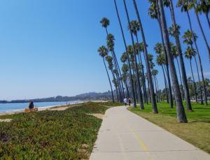 Santa Barbara beach with palm trees and ocean