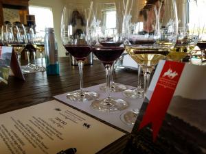 Happy Canyon Vineyards at Pinocho Ranch