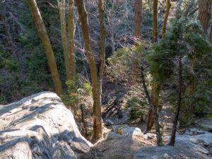 Heart Rock Hike - the trail next to the stream