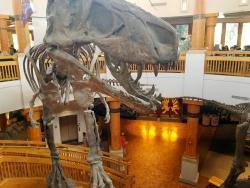Universal Jurassic Park Discovery Center