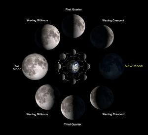Moon Phases