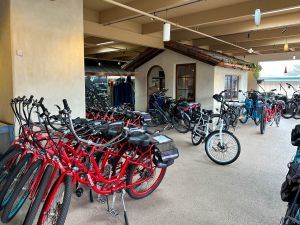 A scenic view of the 17-Mile Drive during an e-bike tour