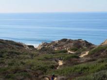 Torrey Pines State Reserve - Beach Trail