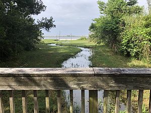 Fort Walton Beach - Oak Tree Nature Preserve