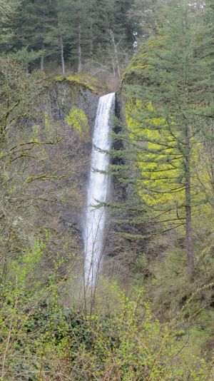 Latourell Falls