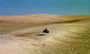 Off-road vehicles at Oceano Dunes
