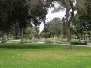 Pearson Park - Ken Lund