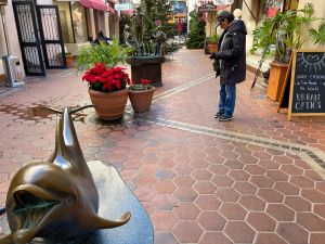 Santa Barbara - La Arcada Plaza