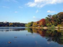 Toronto High Park - from Wikipedia