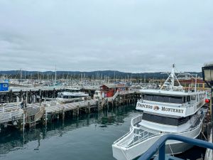 Boat on the water for whale watching