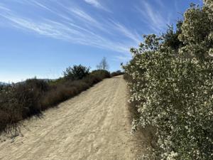 View along the West Ridge Trail