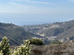 View from the Top of the World