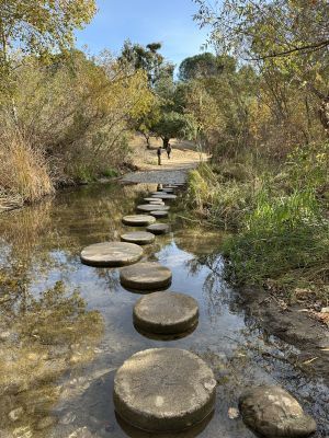 Santiago Oaks - Creek crossing