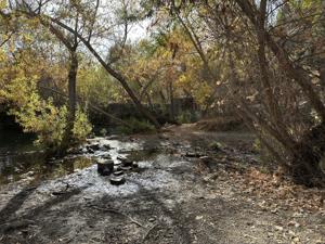 Santiago Oaks - Historic Dam
