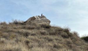 Santiago Oaks - Robbers Roost