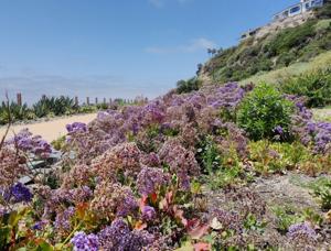 San Clemente Coastal Trail