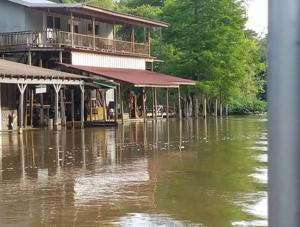 Traditional Cajun houses on the bank of the Pearl River